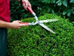 D.J. Garden Services  in Leicestershire