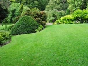 Garden Tamer in Leicestershire