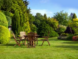 Tree, Hedge & Garden Services in Lincolnshire