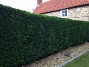 Sarah Mitchell  Tree & Garden Services Ltd in Lincolnshire