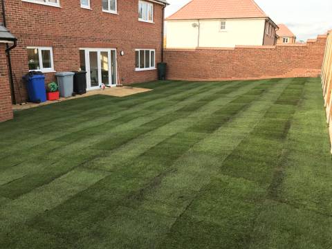 Mow and Grow Complete Lawn Care3
