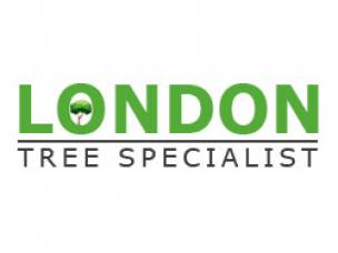 London Tree Specialist in Hertfordshire