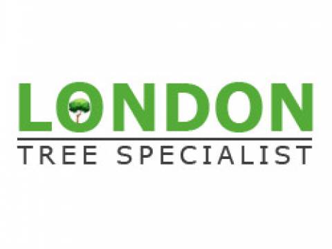 London Tree Specialist1