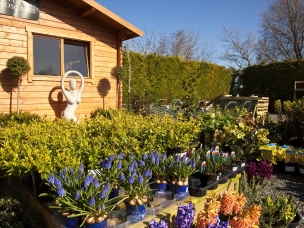 Moota garden centre  in Cumbria