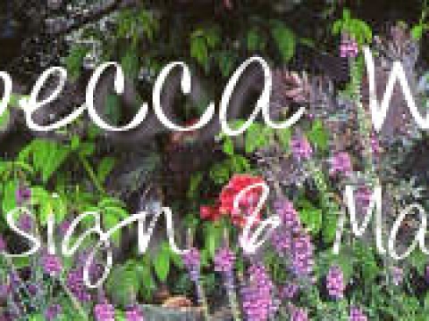 Rebecca wells garden design and management 1