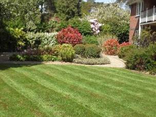 CJ Garden Service Ltd in Hampshire